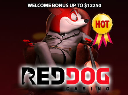 How to Win Online Andar Bahar Real Cash at Red Dog Casino