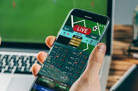 Sportsbook Reviews: Your Guide to Choosing the Best Live Casino