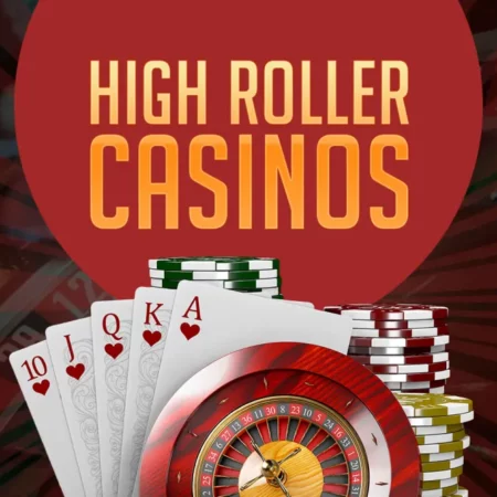 High Roller Casinos: A Glimpse into the Gambling World